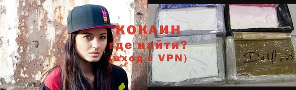 трава Корсаков