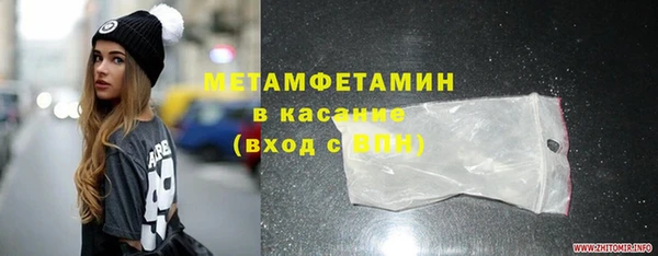 трава Корсаков