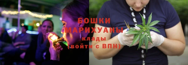 мдпв Краснослободск