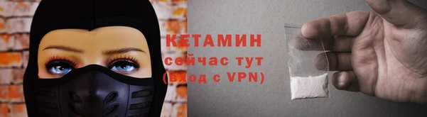 трава Корсаков