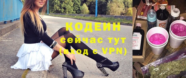 трава Корсаков