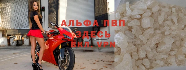 трава Корсаков