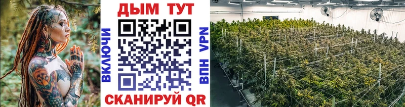 Бошки Шишки гибрид  Крымск 